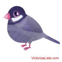 Join the Community of BIRDS for summer migration to China <>