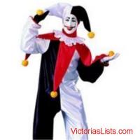 PARTY Organizer <>