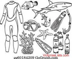 The Beginner’s Guide to Swimming Equipment / Gear >