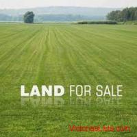 WANTED: Rawlands in Phils. for Development-Sale|Joint Venture >